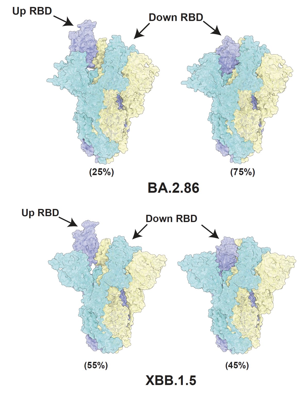 fig11