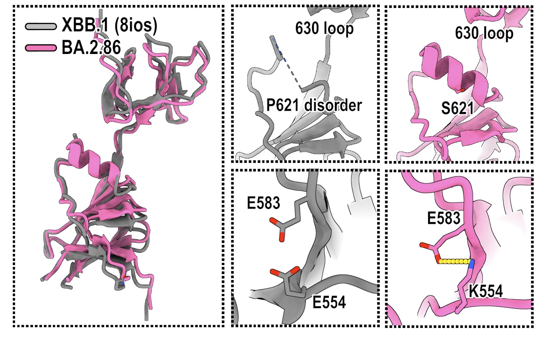 fig12