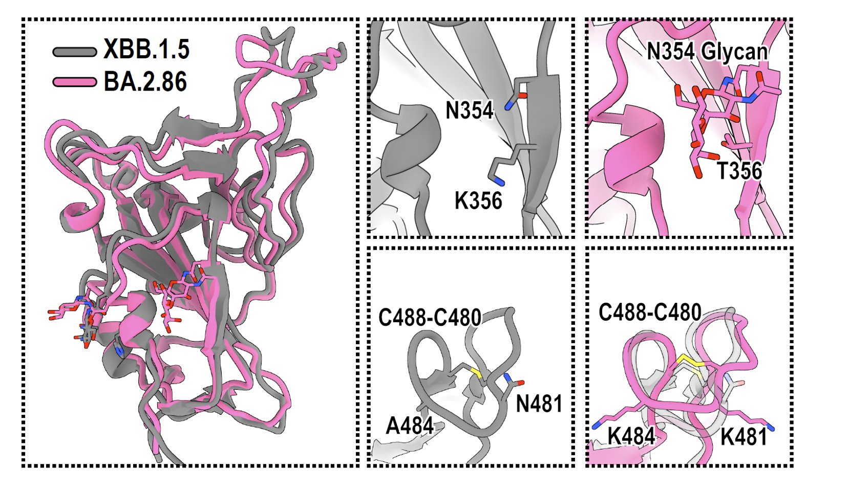 fig13