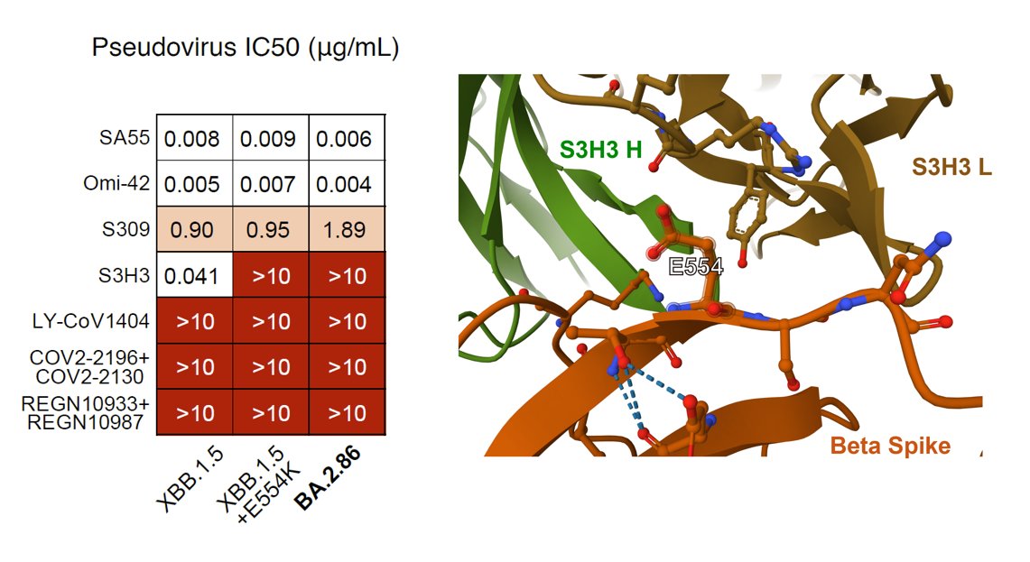 fig4