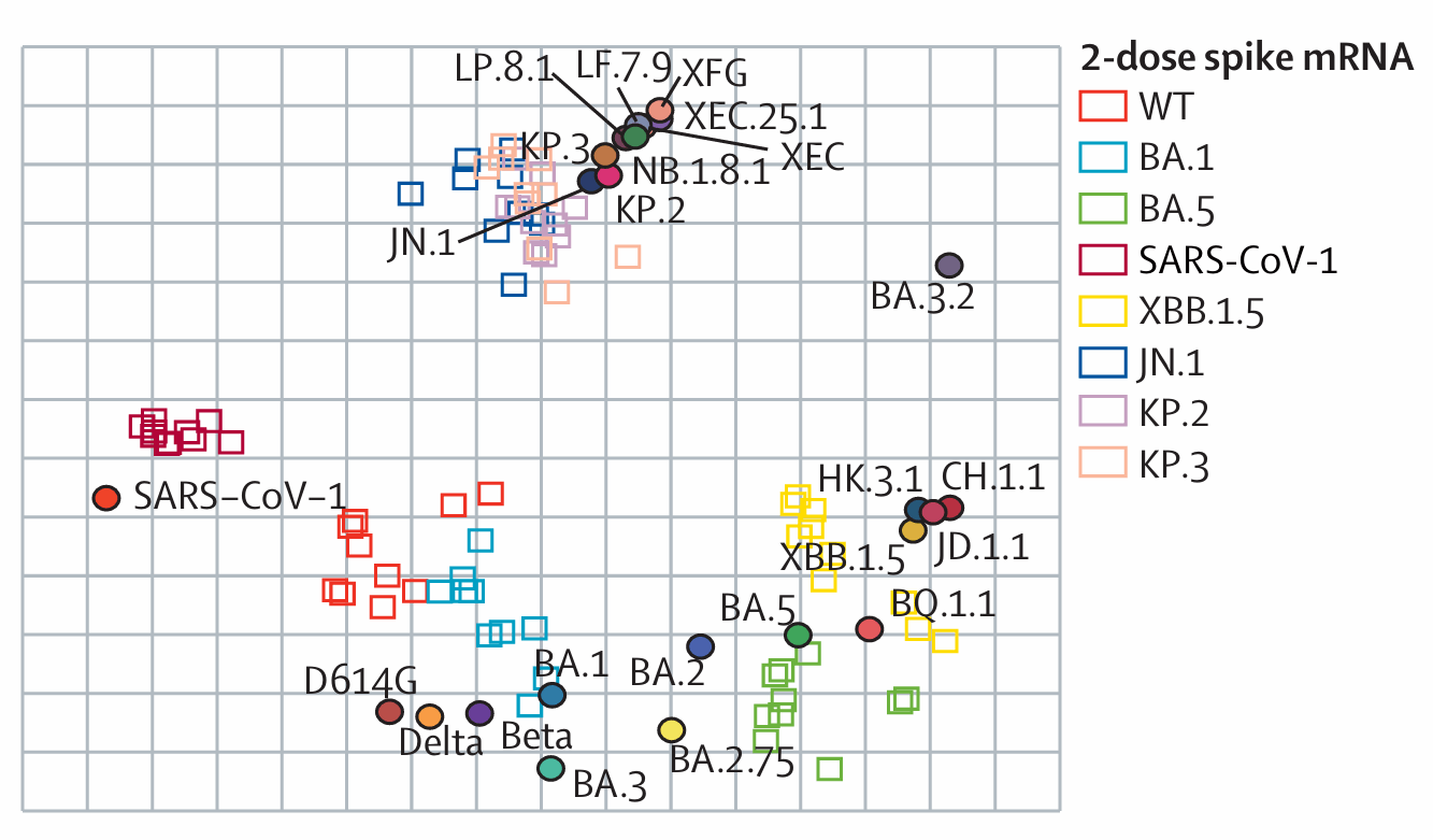 Antigenic map of SARS-CoV-2 major variants from mouse immunization